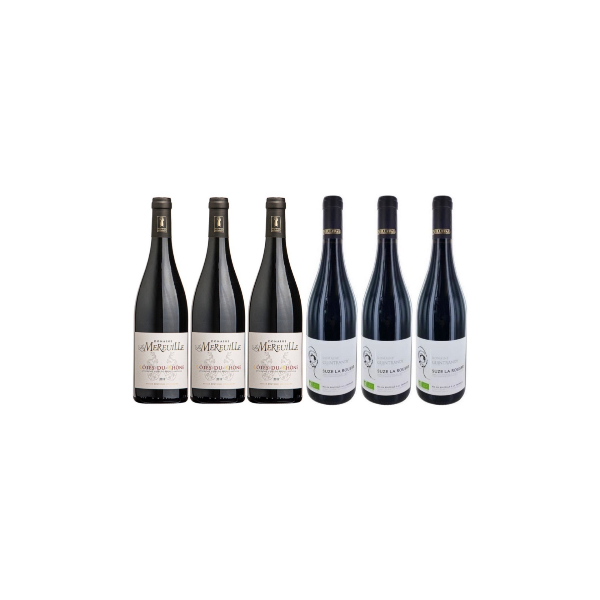 6 Award Winning Cotes Du Rhone Rouge and Village Suze la Rousse From Mereuille at only $180