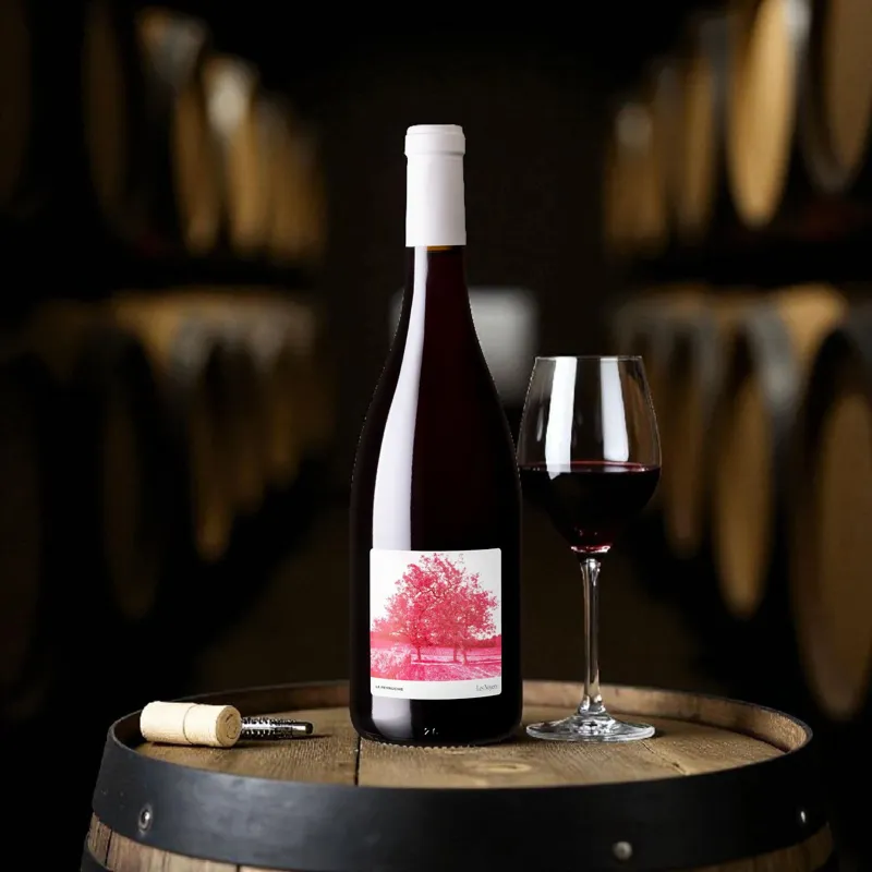 AOP Cadillac Côtes de Bordeaux Fut De Chêne 2020 – Château La Peyruche 