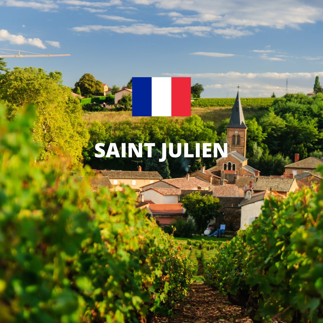 Winemakers Collection From AOC Saint Julien