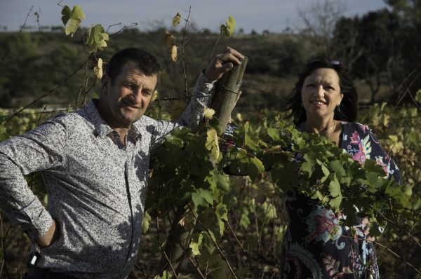 Introduction to French Wine In Languedoc-Roussillon Valley From Triballe