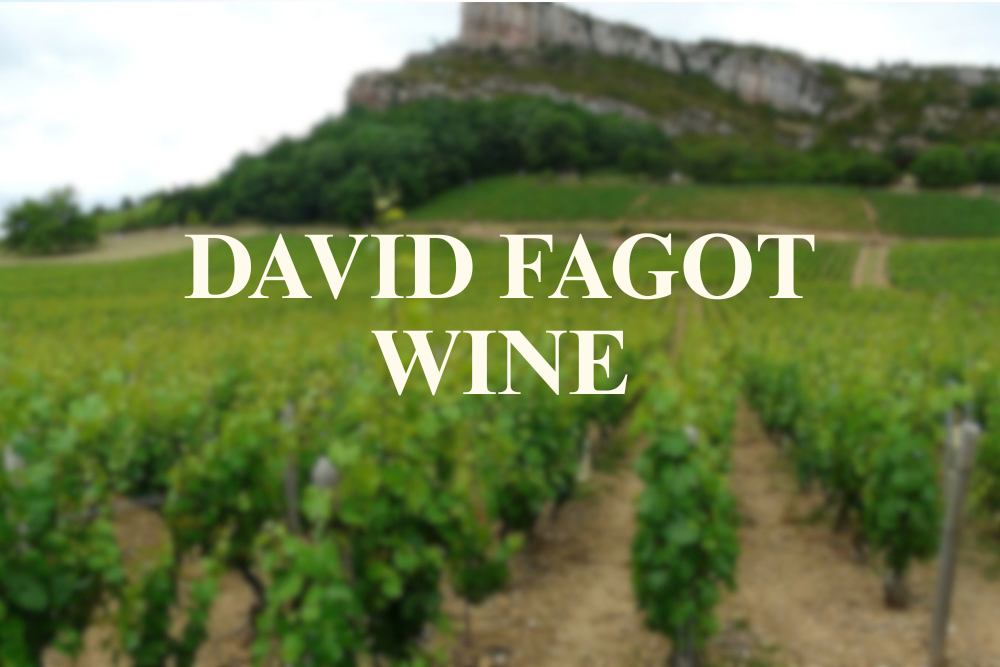 Introduction to French Wine In Burgundy From Fagot