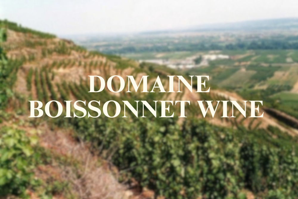 Introduction to French Wine In Rhone Valley From Domaine Boissonnet