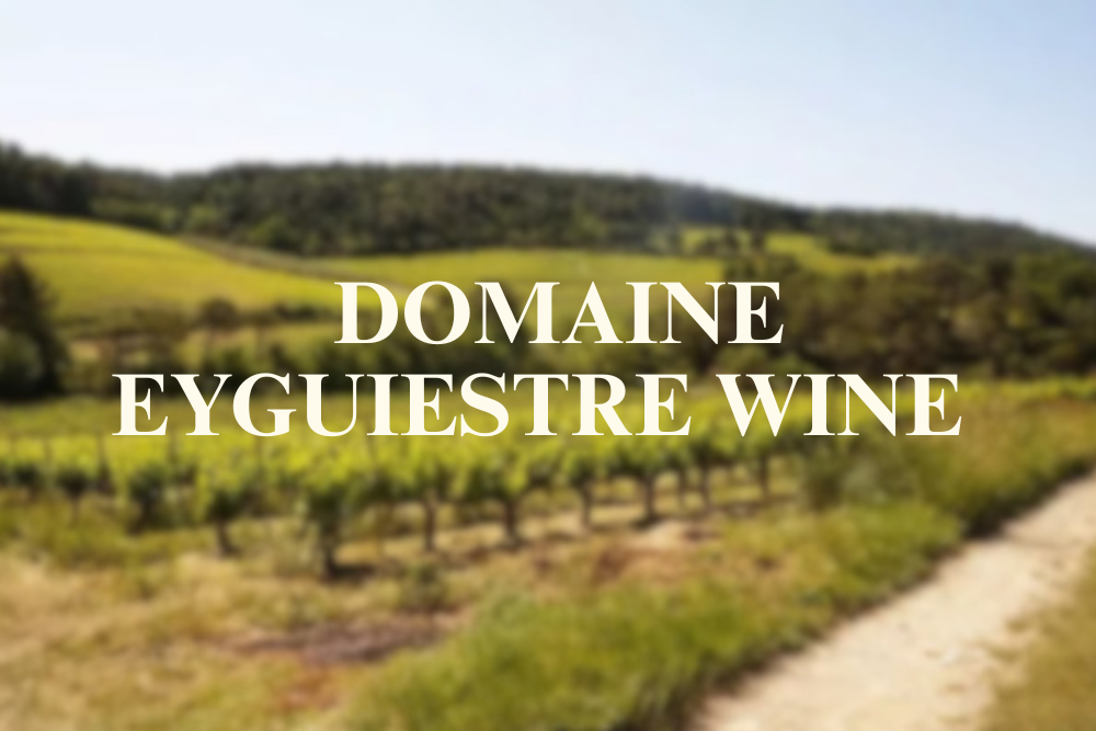 Introduction to French Wine In Rhone Valley From Domaine Eyguestre