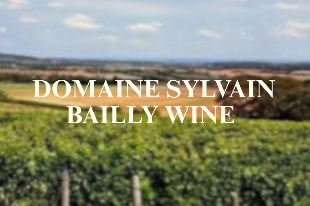 Introduction to French Wine In Burgundy From Sylvain Bailly