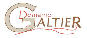 Introduction to French Wine In Languedoc From Domaine Galtier