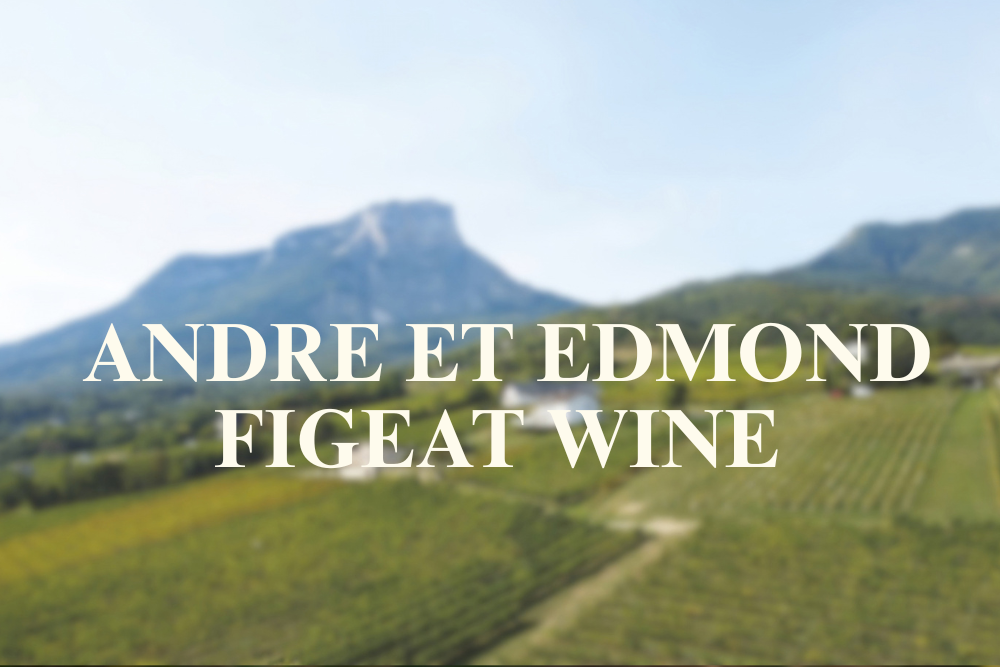 Introduction to French Wine In Burgundy From Andre et Edmond Figeat