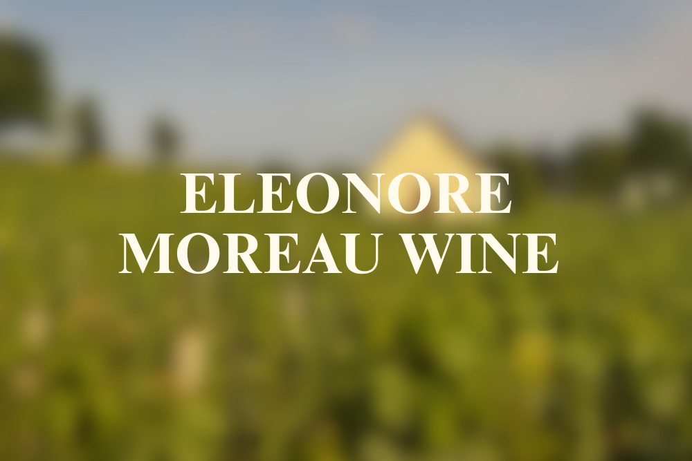 Introduction to French Wine In Burgundy From Eleonore Moreau