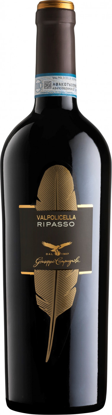 Giuseppe Campagnola Ripasso Classico Superiore 2018/2019