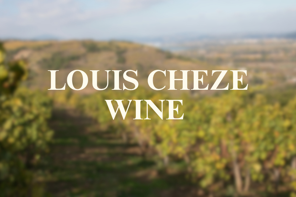 Introduction to French Wine In Rhone Valley From Louis Cheze