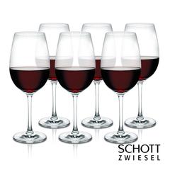Schott Zwiesel Ivento Burgundy Red Wine Glass (Set of 6)