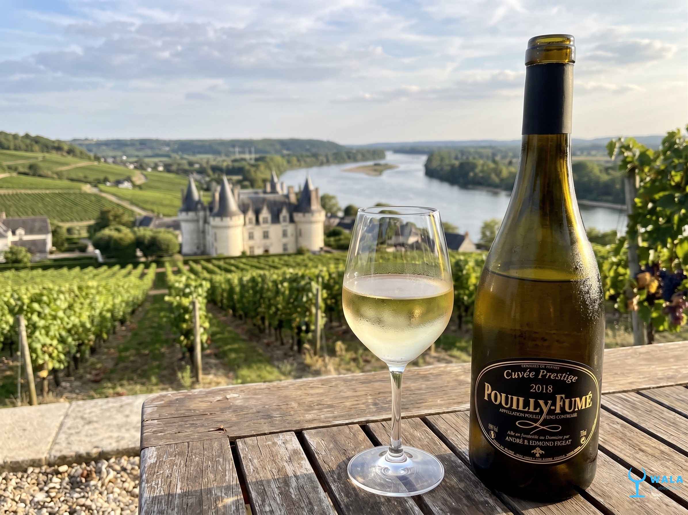 Introducing To French White Wine From The Loire Valley