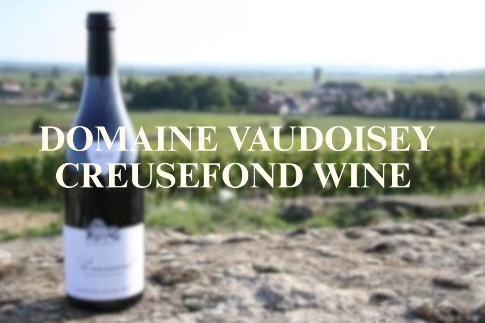 Introduction to French Wine In Burgundy From Domaine Vaudoisey Creusefond