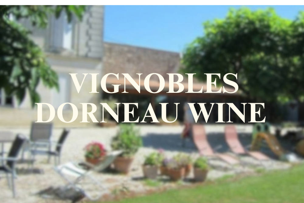 Introduction to French Wine In Bordeaux From Vignobles Dorneau