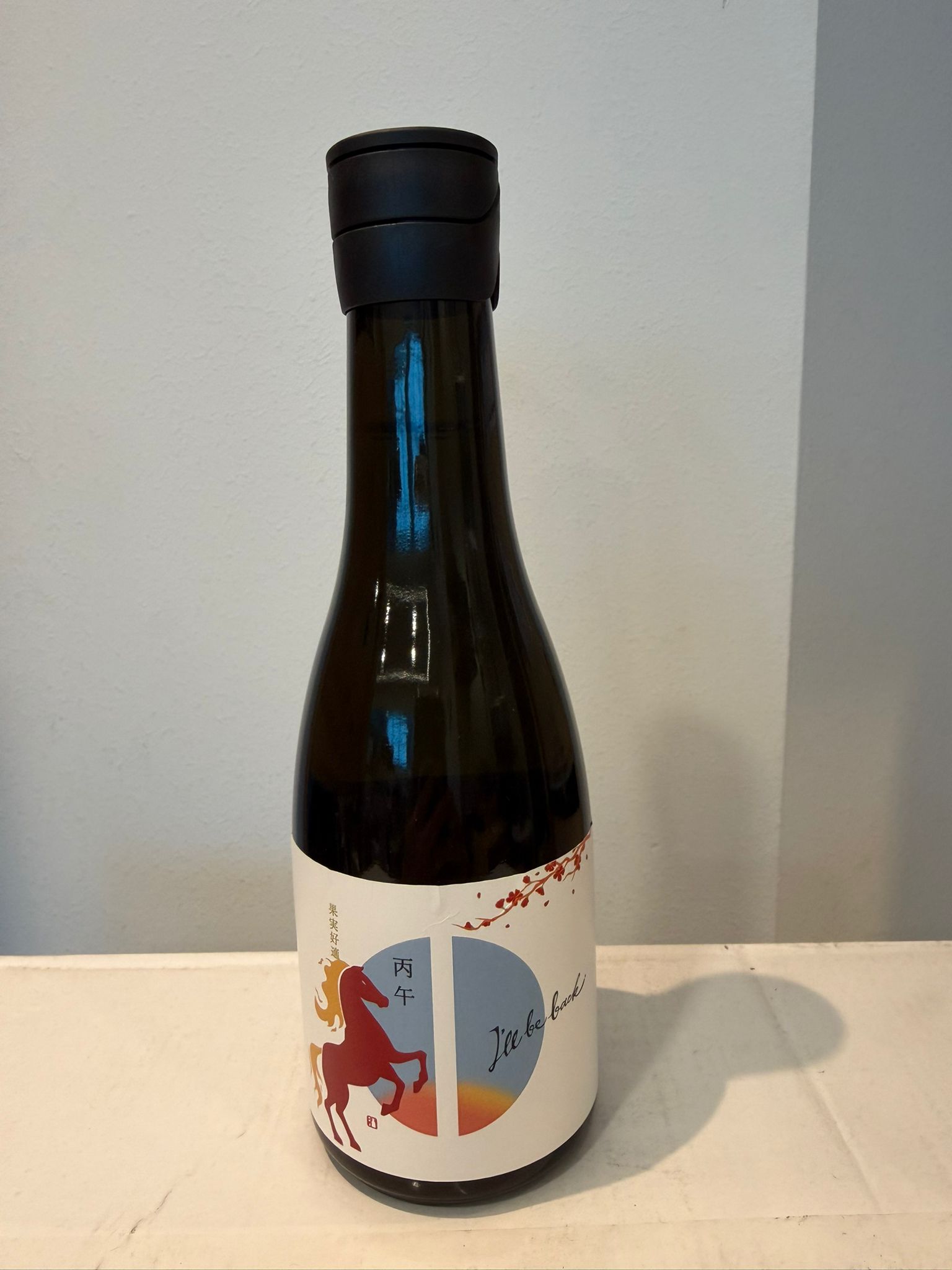 SETOICHI - SPECIAL EDITION Firehorse - I'll be back 