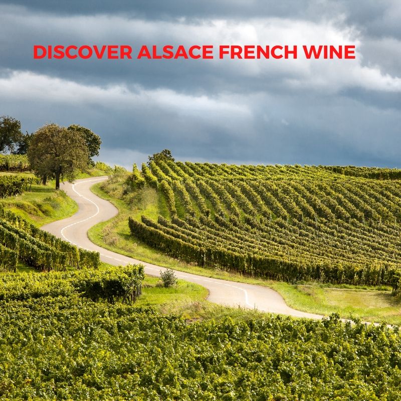 Introduction to French Wine In Alsace Fom Domain Charles Frey