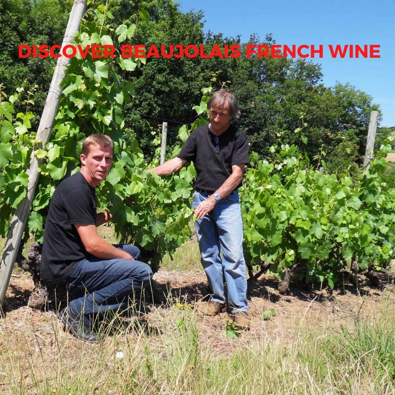 Introduction to French Wine In Beaujolais From Domaine Vignoble Charmet