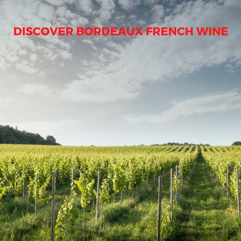 Introduction to French Wine In Bordeaux From Les Hauts de Tousqiron, Chateau Piron and Chateau L'Escadre