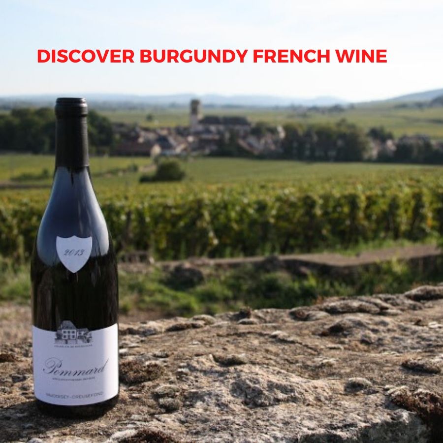 Introduction to French Wine In Bourgogne (Burgundy) From Domaine David Fagot And Domaine Vaudoisey Creusefond