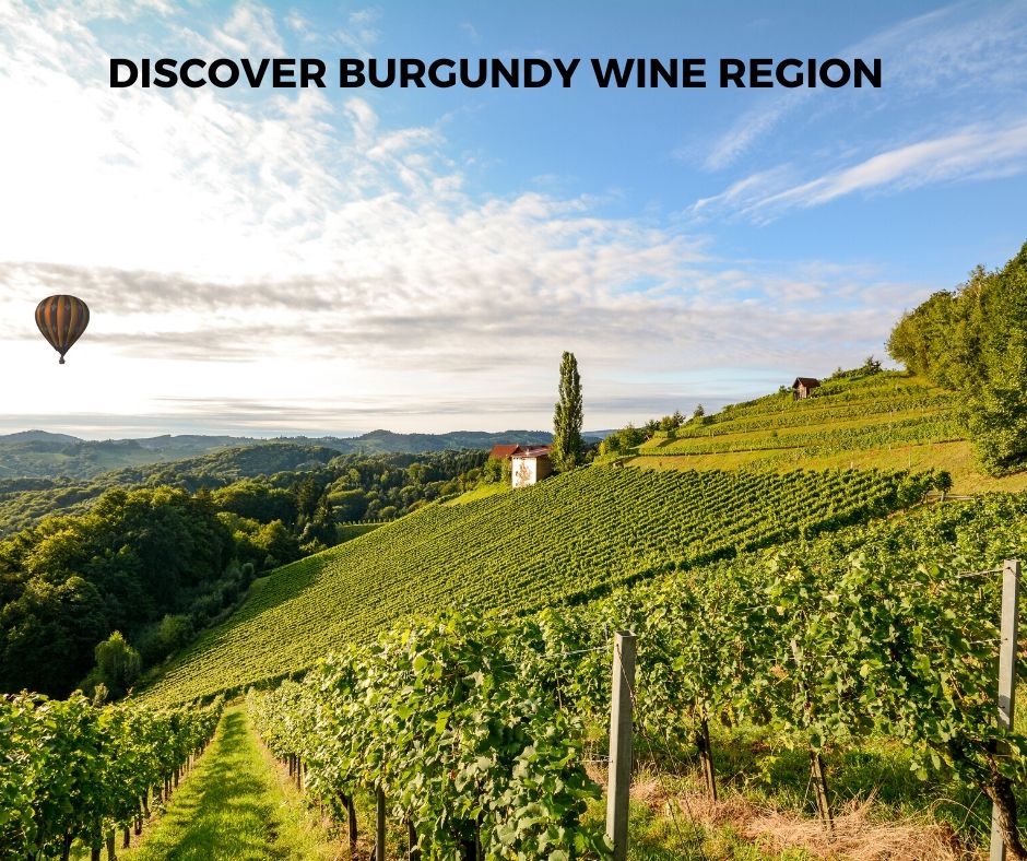 Introduction To Bourgogne (Burgundy) Wine Region