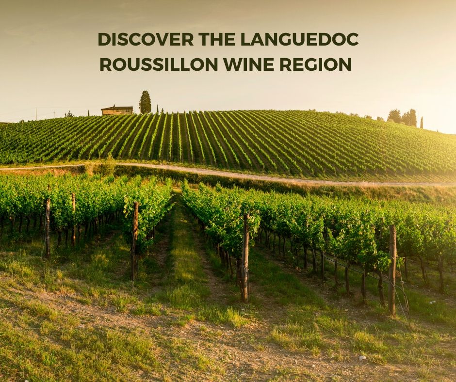 Discover Laguedoc Wine Region 1590956630 