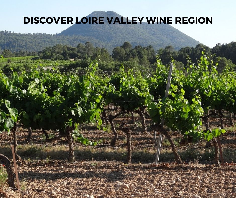 Introduction To Loire Valley Wine Region