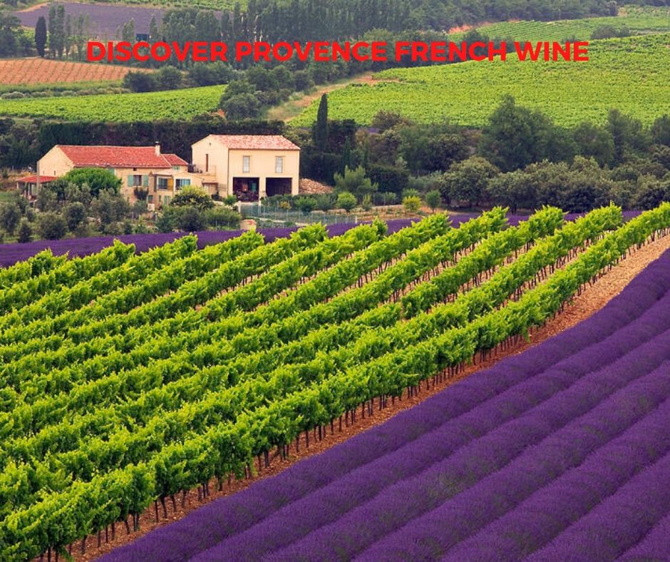 Introduction to French Wine In Provence From Domaine Pieracci