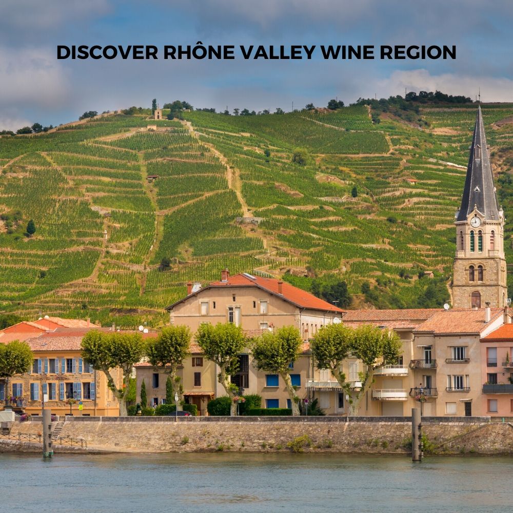 Introduction To Rhone Wine Region