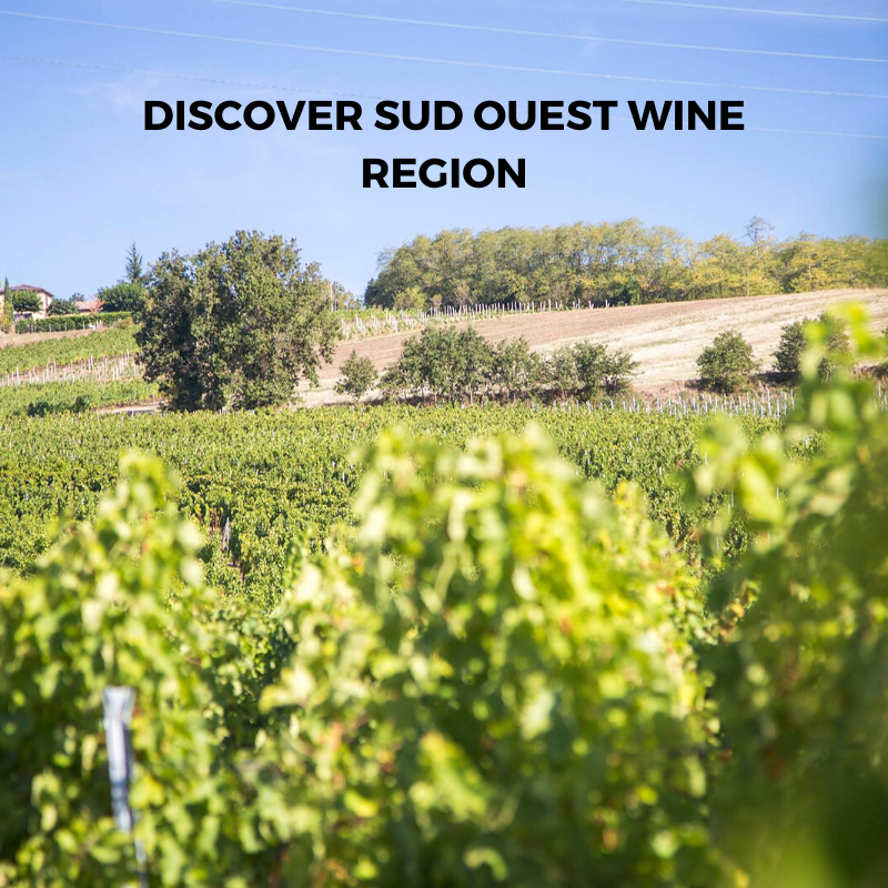 Introduction to Sud Ouest (South West) Wine Region And French Wine From L'Enclos des Braves, Chateau de Hauterive