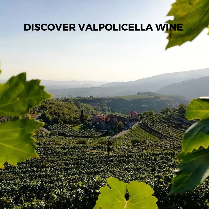 Introduction to Italian Valpolicella Wine from Classico, Ripasso to Amarone