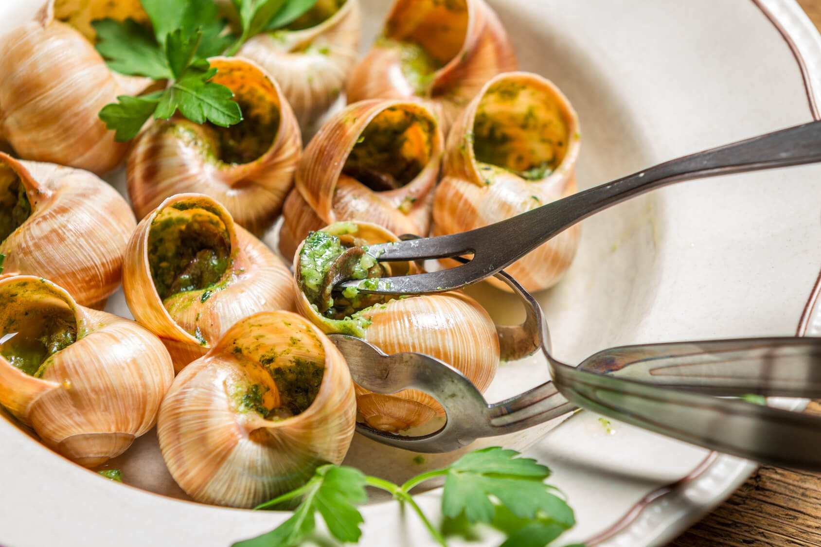 Wine Pairing: Escargots (Snails)