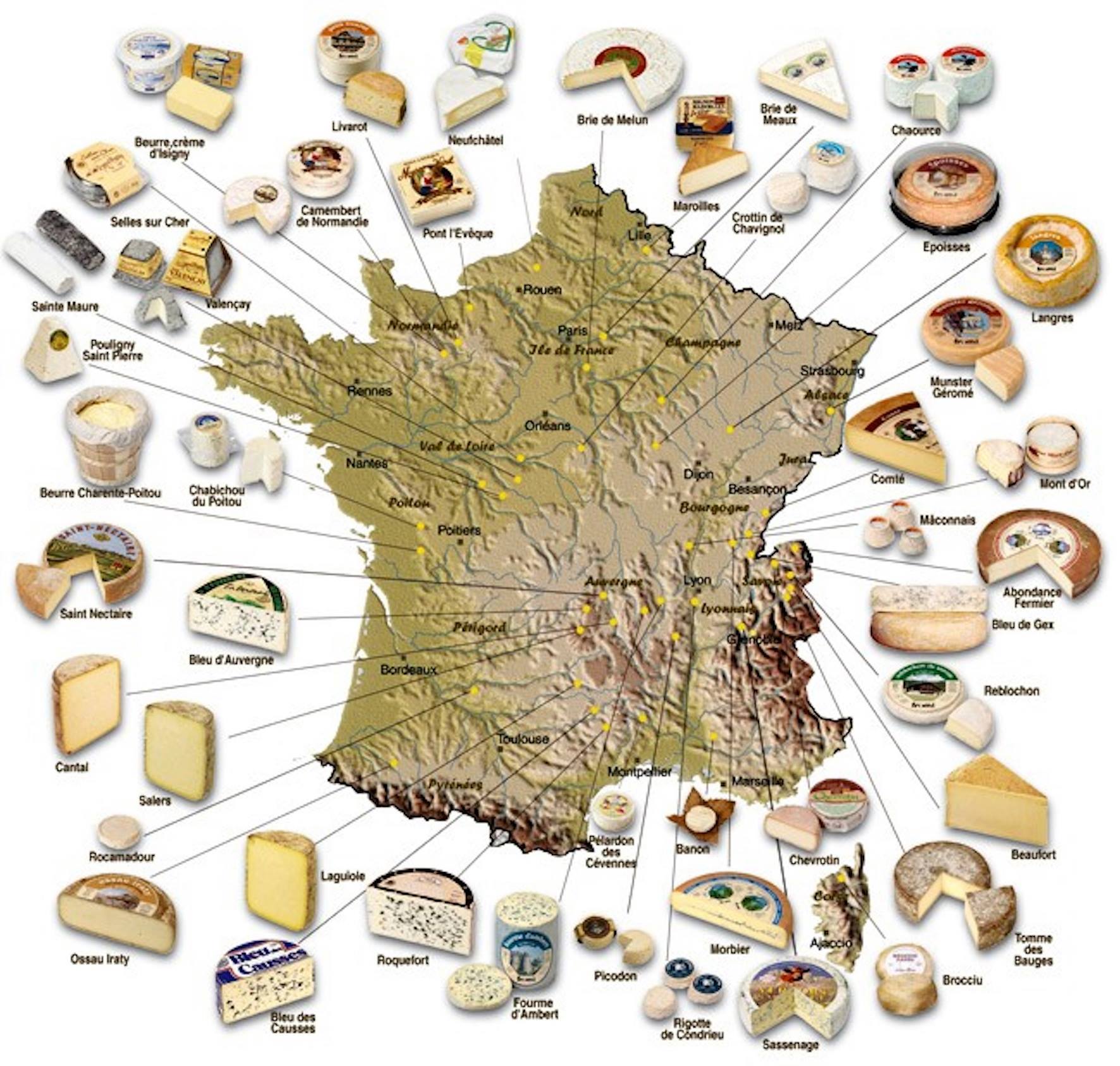 Wine Pairings: Cheese And Cheese