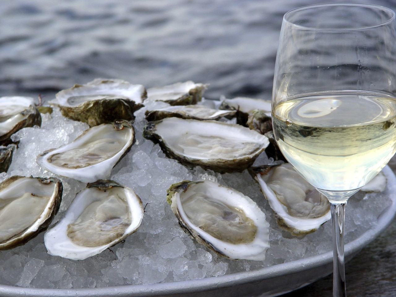 Wine Pairing Oyster with Wine It's about time